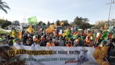 Colère de milliers d’agriculteurs espagnols à Madrid : « Je travaille, mais je perds de l’argent »