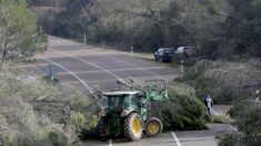 Autoroute France-Espagne coupée: les agriculteurs dénoncent la concurrence jugée «déloyale des importations»