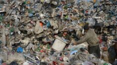 Notre planète croule sous les déchets