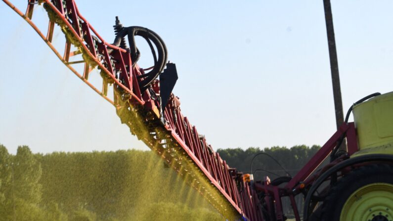 L'agriculteur français Nicolas Denieul a réduit l'utilisation du glyphosate à un demi-litre au lieu d'un litre par hectare et par an. (Jean-François MONIER / AFP).