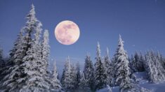 La pleine « lune des neiges » de février sera une « microlune » – et c’est exactement le contraire d’une superlune