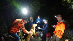 Gard: après deux jours d’intervention, pompiers et spéléologues sauvent un chien coincé sous des roches