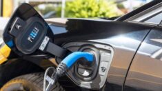 « Le bref boom des voitures électriques touche à sa fin »: les Allemands refusent de plus en plus d’acheter des voitures électriques