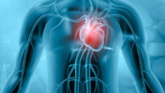 Un ancien anti-inflammatoire réduisant efficacement l’inflammation cardiaque chronique