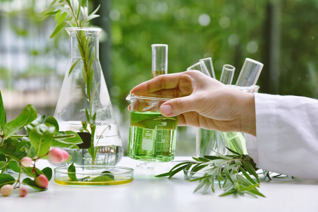 Les composés végétaux peuvent constituer un traitement alternatif efficace de la rosacée 