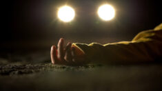 Ardennes: un jeune homme ivre meurt écrasé par une voiture à la sortie d’une boîte de nuit