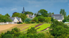 Bretagne: une parfaite inconnue lègue un million d’euros à un petit village des Côtes-d’Armor