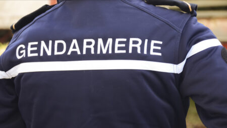 Pyrénées-Orientales: une femme empêche l’enlèvement d’une enfant de 11 ans en mettant en fuite son agresseur