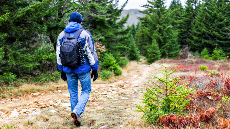 Il semblerait que la victime ait trouvé la mort il y a deux ou trois jours. (Photo: Kristi Blokhin/Shutterstock)