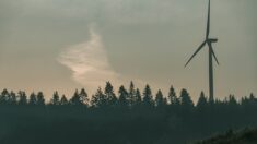 Projet éolien Total-Énergies dans le Gard : favorable au projet, un maire avoue avoir produit 700 faux