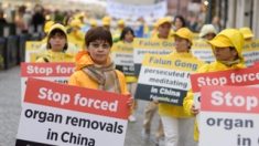 Des médecins chinois accusés de prélèvements forcés d’organes ont participé à des sessions de formation élaborées par l’Université Oxford