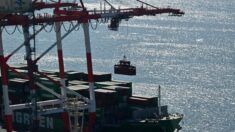 Des dispositifs mystérieux installés par la Chine sur des grues dans les ports américains pour le contrôle à distance, selon une lettre du Congrès