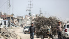 Gaza: tirs israéliens et bousculade lors d’une distribution meurtrière d’aide
