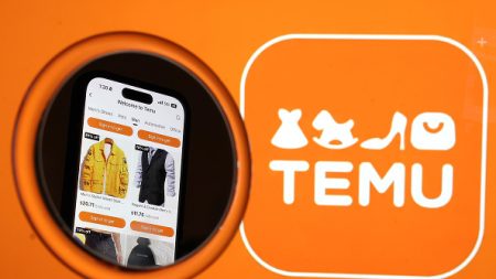 Une des applications populaires « les plus dangereuses »: le site chinois Temu retire son offre controversée de rachat des données des clients