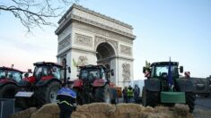 Agriculteurs: une action symbolique à l’Arc de Triomphe menée ce matin