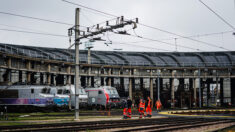 SNCF: un agent de maintenance meurt dans un accident du travail sur un site alsacien