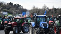 Le projet de loi sur l’agriculture sera présenté le 29 mars en Conseil des ministres