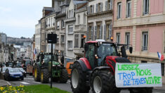 « Trop de taxes, trop de normes, trop de papiers »: des agriculteurs et des pêcheurs manifestent dans le Pas-de-Calais