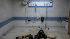 Gaza: l’armée israélienne demande à la population d’évacuer la zone de l’hôpital al-Chifa