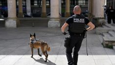 Narcotrafic, terrorisme et narcoterrorisme, le danger d’une hybridation des menaces en France