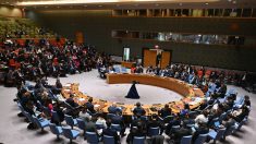 Gaza: le Conseil de sécurité de l’ONU entérine sa première résolution pour un « cessez-le-feu immédiat »
