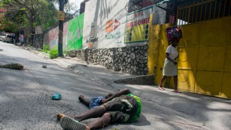 Tensions à Haïti: 243 personnes ont été évacuées vers la Martinique, dont une majorité de français