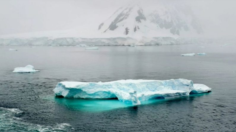 Des icebergs flottant dans la baie de Paradise, en Antarctique, en février 2024 (Cesar Calani / The Epoch Times)