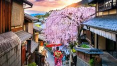 Kyoto interdit aux touristes l’accès au quartier des geishas en raison de leur mauvais comportement