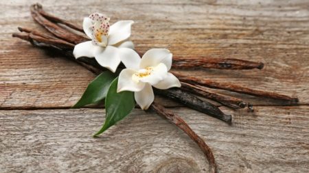 Les propriétés médicinales de la vanille: de l’histoire ancienne à l’utilisation moderne
