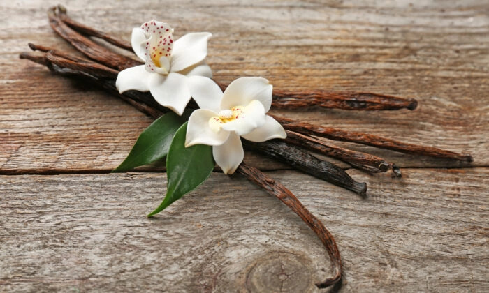Gousses de vanille séchées et fleurs de vanille. (Shutterstock)