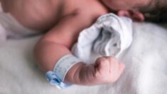 Des spécialistes canadiens favorables au lait maternel produit par les personnes transgenres; une pédiatre répond