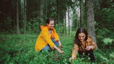 La Finlande est-elle vraiment un pays si heureux ?