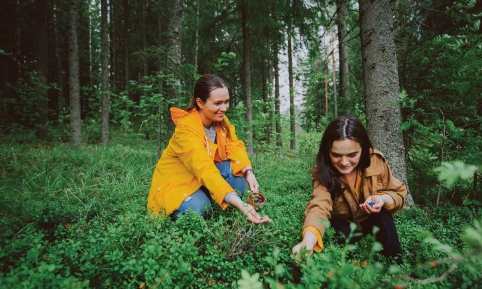 La Finlande est-elle vraiment un pays si heureux ?