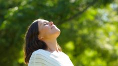 Le soleil provoque-t-il ou prévient-il le cancer ?