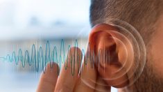 Le son du silence : les acouphènes sont en augmentation et 80% des besoins auditifs ne sont pas satisfaits