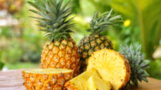L’ananas aide à la digestion, aux douleurs arthritiques et à la guérison des blessures sportives