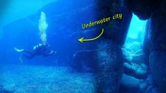 Un plongeur à la recherche de requins tombe sur des ruines sous-marines datant de 5000 ans, les scientifiques se creusent la tête