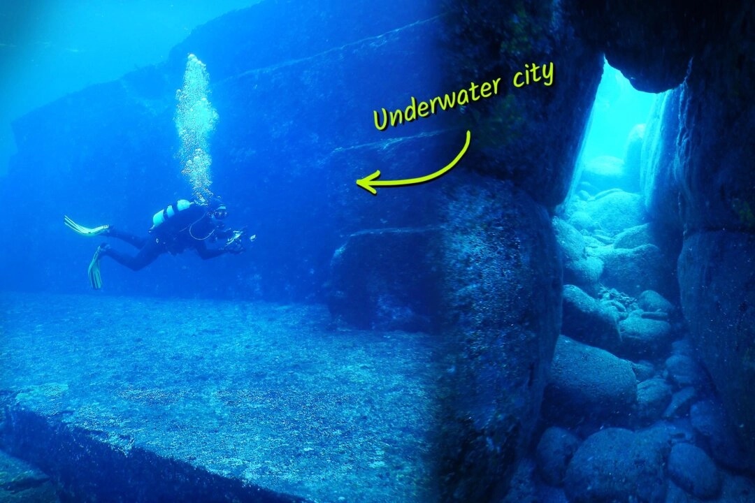 Un plongeur à la recherche de requins tombe sur des ruines sous-marines datant de 5000 ans, les scientifiques se creusent la tête