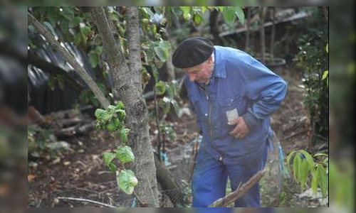 Paul, 82 ans, menacé d’expulsion par les filles de sa compagne décédée (Tarn). (photo Facebook Sos Paul Rudelle)