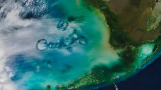 NASA: c’est quoi ce mystérieux phénomène capturé au-dessus du golfe du Mexique par l’agence spatiale américaine?