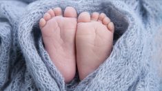 Rhône: un bébé de 6 semaines découvert nu et positif à la cocaïne dans une zone industrielle à Vénissieux