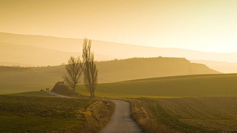 Tous les chemins mènent à Saint-Jacques-de-Compostelle. (Ricardolr/Getty Images)
