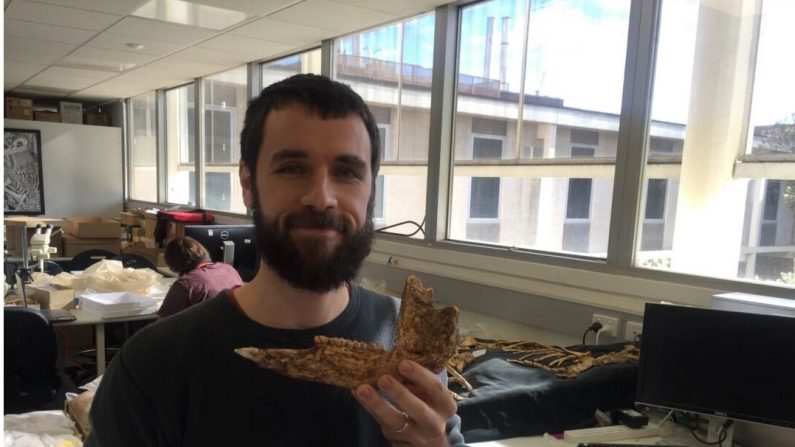Isaac Kerr avec un os du Protemnodon Viator (Avec l'aimable autorisation de l'Université Flinders)