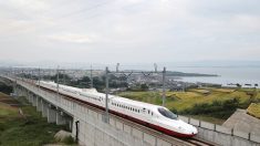 Japon : un serpent retarde un train à grande vitesse le plus ponctuel au monde