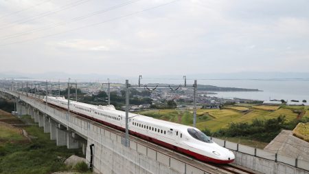 Japon : un serpent retarde un train à grande vitesse le plus ponctuel au monde