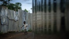 Opération « Place nette » à Mayotte : 60 individus recherchés et 1300 cases à détruire