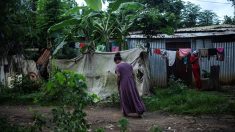 Épidémie de choléra à Mayotte : doublement des cas en deux jours, un sénateur demande « de traiter ce problème à la source depuis les Comores »