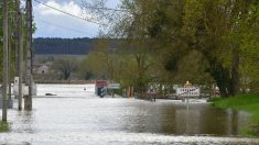 Crues en Indre-et-Loire: la Vienne a atteint son pic, Chinon reste en vigilance
