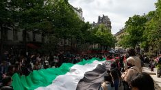 La Sorbonne : la police est intervenue pour évacuer des militants pro-palestiniens