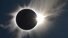 Une astrologue effrayée par l’éclipse tue son conjoint et jette ses enfants sur l’autoroute